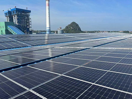 迎 風 追 光 向 綠 而行